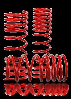 Vmaxx lowering springs fit - vmaxx,